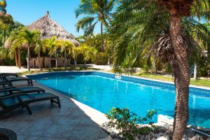 Gunite Pools #023 by Willy's Pools