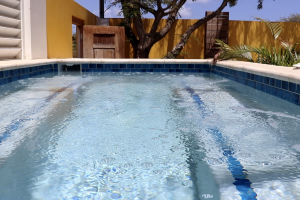 Gunite Pools #033 by Willy's Pools
