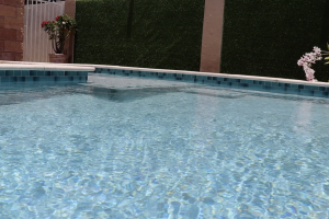 Gunite Pools #035 by Willy's Pools