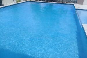 Gunite Pools #014 by Willy's Pools