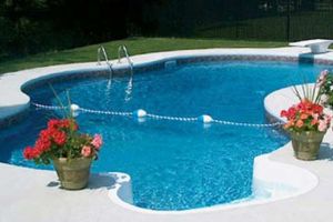 Vinyl Liner Pools #002 by Willy's Pools