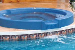 Vinyl Liner Pools #003 by Willy's Pools